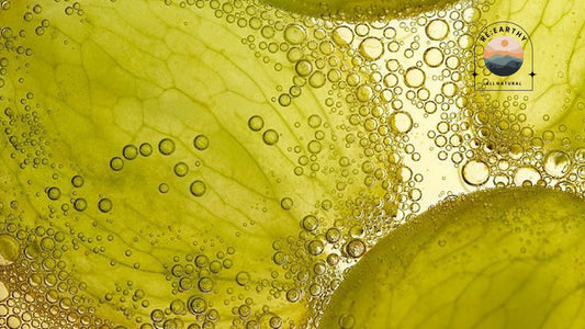 How Plant-Based Ingredients Support Balanced, Healthy Skin (Every Day) - ReEarthy