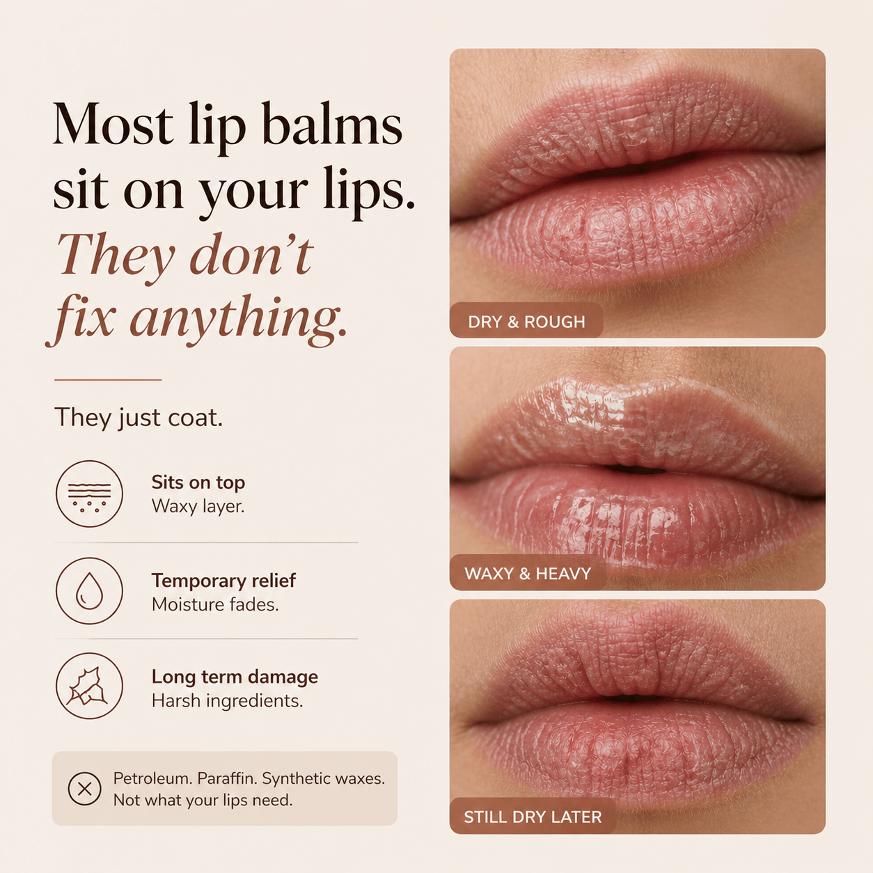 Natural Lip Balm (A2 Ghee Infused) - ReEarthy
